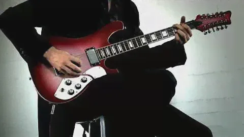Schecter Official STARGAZER 12
